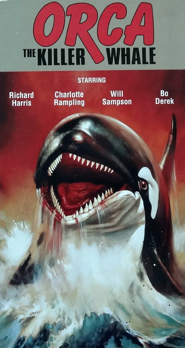 Orca The Killer Wale